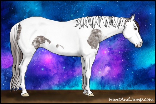 Horse Color: ERROR: UNKNOWN ANOMALY