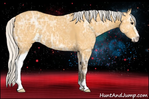 Horse Color: ERROR: UNKNOWN ANOMALY