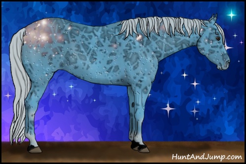 Horse Color: ERROR: UNKNOWN ANOMALY