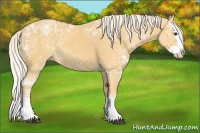 Horse Color:Palomino Ice Splash 