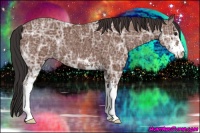Horse Color:Bay Ice Sabino