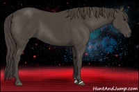 Horse Color:Smoky Black Sabino