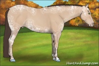 Horse Color:Amber Champagne Ice Sabino 