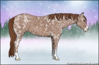 Horse Color:Chestnut Ice Sabino 