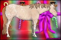 Horse Color:Gold Champagne Ice 