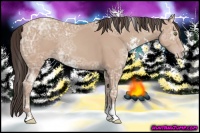 Horse Color:Amber Champagne Ice Sabino 