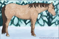Horse Color:Amber Champagne Ice Sabino 