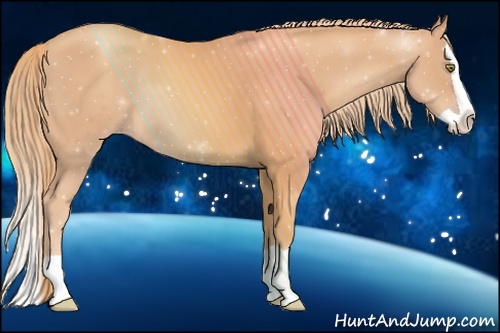Horse Color: Gold Champagne Splash 