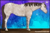 Horse Color:Classic Champagne Ice Sabino 