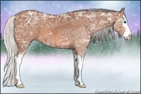 Horse Color:Silver Bay Ice Sabino Splash 
