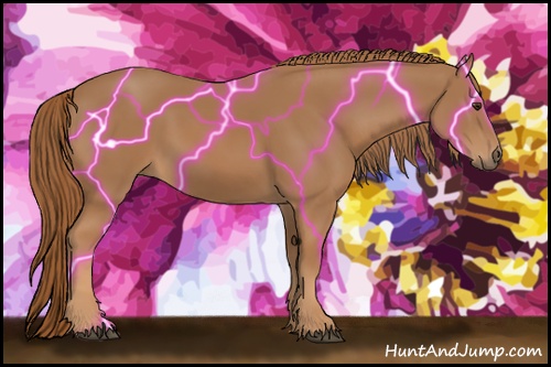 Horse Color: Chestnut 