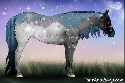 Horse Color: ERROR: UNKNOWN ANOMALY
