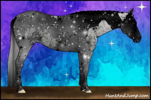 Horse Color: ERROR: UNKNOWN ANOMALY