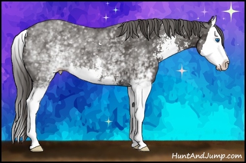 Horse Color: White Spotted Smoky Black Sabino Splash 