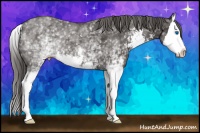 Horse Color:White Spotted Smoky Black Sabino Splash 