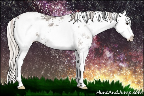 Horse Color: Silver Black Ice Sabino 