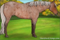 Horse Color:Silver Brown Roan 