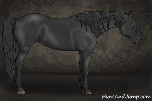 Horse Color: Liver Chestnut 