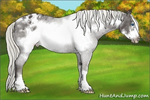 Horse Color: Liver Chestnut Mushroom Frame Blanket 