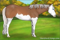 Horse Color:Silver Brown Splash 