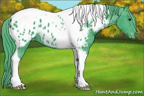 Horse Color: Watercolor Black Tobiano Blanket 