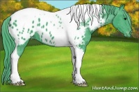 Horse Color:Watercolor Black Tobiano Blanket 