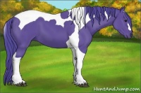 Horse Color:Watercolor Black Tobiano 