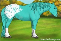Horse Color:Watercolor Black Tobiano Appaloosa 