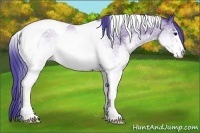Horse Color:Watercolor White Spotted Black Tobiano