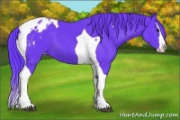 Horse Color:Watercolor Black Splash Tobiano Blanket 