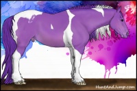 Horse Color:Watercolor Bay Tobiano Appaloosa 