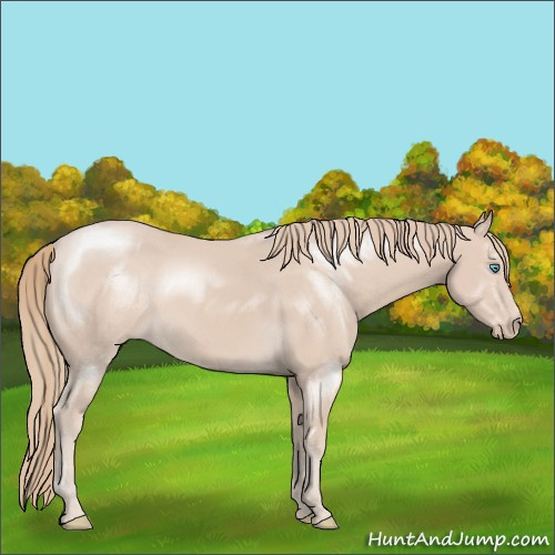 Horse Color:Smoky Creme 