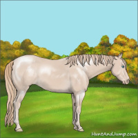 Horse Color:Smoky Creme 
