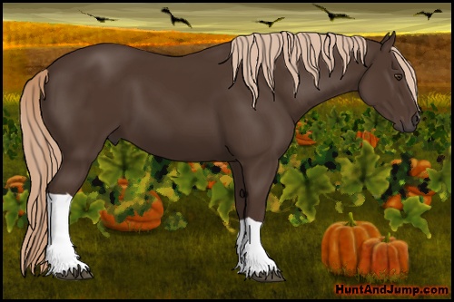 Horse Color: Liver Chestnut 