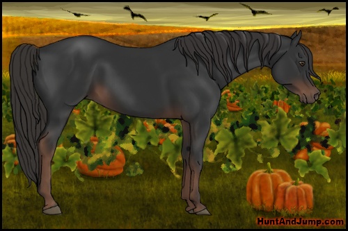 Horse Color: Liver Chestnut 