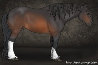 Horse Color:Brown 