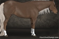 Horse Color:Silver Smoky Black Tobiano 
