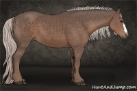 Horse Color:Silver Black 
