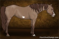 Horse Color:Liver Red Dun Frame 