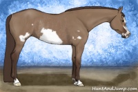 Horse Color:Liver Red Dun Frame Rabicano 