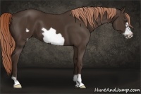 Horse Color:Liver Chestnut Frame 