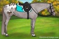 Horse Color:Liver Chestnut Appaloosa 