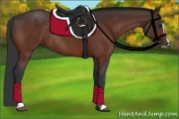 Horse Color:Bay Sabino Rabicano 