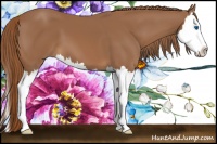 Horse Color:Chestnut Splash 