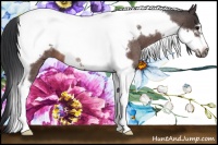 Horse Color:Bay Roan Tobiano Frame 