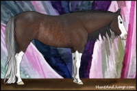 Horse Color:Brown Splash Rabicano