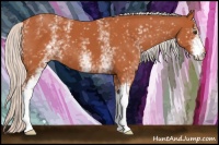 Horse Color:White Spotted Silver Bay 