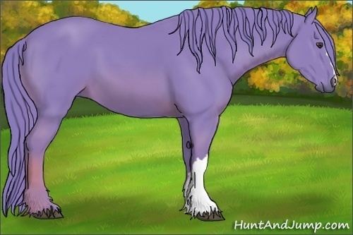 Horse Color:Watercolor Chestnut 