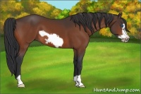 Horse Color:Brown Frame 