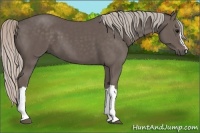 Horse Color:Silver Black 